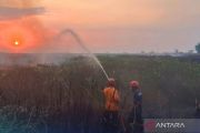Kemenhut sanksi 6 perusahaan sebabkan karhutla berulang di Kalimantan