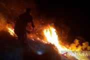 BPBD: Hujan di Kulawi dan Pipikoro tekan potensi kebakaran hutan dan lahan