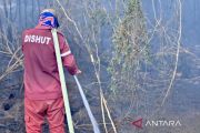 Dishut Kalsel kerahkan 150 personel cegah karhutla di hutan lindung