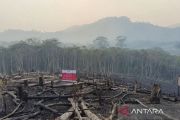 Kemenhut sanksi 6 perusahaan di Kalimantan terkait kebakaran hutan