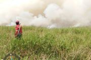 PT RHM terjunkan helikopter dan tujuh alat berat padamkan karhutla