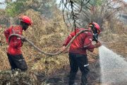 Satgas karhutla Riau apresiasi dukungan PT Arara Abadi tangani kebakaran di lahan masyarakat