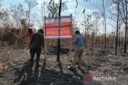 Kemenhut sanksi enam perusahaan pemegang izin hutan akibat karhutla di Kalimantan