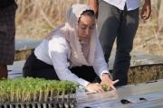 Kota Palu gencarkan program Palu Mapan untuk ketahanan pangan