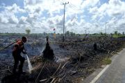 Drought risk in Central Kalimantan to rise through August: BMKG