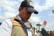 Bulog: Serapan gabah nasional capai 91 persen