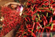 Harga cabai rawit Rp64.100 per kilogram, telur ayam Rp28.800 per kilogram