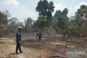 Damkar Lampung Selatan berjibaku padamkan di dua titik lokasi karhutla
