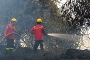 PT WKS dukung Satgas penanganan karhutla di kawasan Pandan Sejahtera