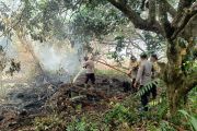 Lahan gambut seluas 13,5 hektare di Singkawang terbakar