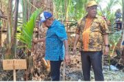 Pemkab Jayapura ajak masyarakat pertahankan sagu sebagai sumber pangan lokal