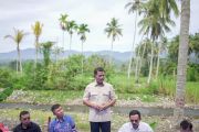 Pemkab Solok alokasikan Rp54,78 miliar untuk pulihkan pertanian