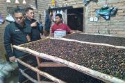 Kopi Parak dan Koordinat yang hilang