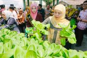 Khofifah dorong sekolah di Jatim kembangkan ketahanan pangan