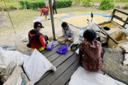Bulog serap 24.853 ton gabah petani di Kalimantan Tengah