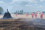 PT Indotruba dukung pencegahan dan penanganan karhutla