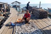 Berdayakan UMKM hingga ke Pelosok Negeri, BRI Dorong Pengusaha Ikan Kering Sorong Naik Kelas Lewat Program Klasterku Hidupku