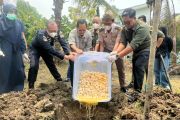 1.190 telur penyu infertil hasil temuan di Sambas dimusnahkan