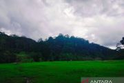 Agam usulkan 1.000 hektare lahan terlantar diaktifkan kembali ke pusat
