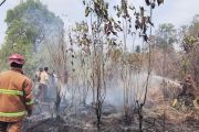 Perlu moratorium membersihkan lahan dengan cara membakar