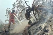 Manggala Agni Rengat masih berupaya padamkan karhutla di Pelalawan, Inhu dan Inhil