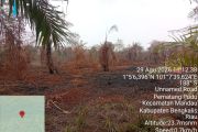 Pemilik kebun sawit di Bengkalis jadi tersangka pembakar lahan