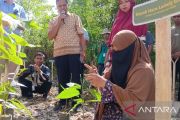 Pemkab Sigi libatkan perempuan-kelompok milenial kembangkan budi daya kakao