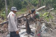 Polda Kaltim tetapkan 9 tersangka karhutla