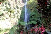 Air Terjun Tancak jadi destinasi favorit pendaki pemula di Jember
