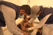 Polio merebak, Afghanistan lakukan vaksinasi di lima provinsi