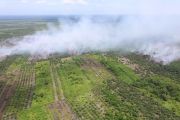 Pemadaman karhutla di Riau terkendala angin kencang dan minim air