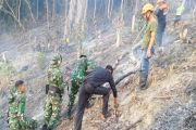 Pemprov Sulteng instruksikan kesatuan pengelolaan hutan masif edukasi cegah karhutla