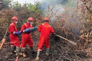 Penanganan karhutla prioritas, PT MAS tingkatkan dukungan melalui sinergi dengan pemerintah dan masyarakat