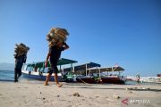BPS NTB mencatat lonjakan arus barang masuk via laut Juli 2026