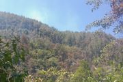 Penanganan terpadu membuat karhutla di Gunung Latimojong melandai