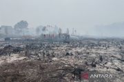 Menhut soroti lonjakan hotspot, Kalbar dan Kalteng masuk zona prioritas
