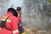 Walhi urges Indonesian govt to review permits linked to wildfires