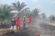 KPH Wilayah Kayong sinergi lintas sektor tangani karhutla di Kayong Utara
