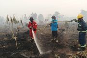 Kebakaran lahan gambut di Singkawang capai 37,27 hektare
