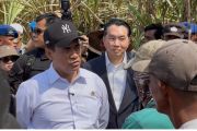 Mentan optimistis produksi gula nasional meningkat