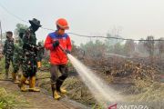 Ketapangdan Kubu Raya mendominasi sebaran titik panas di Kalbar