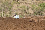 BPBD Gunungkidul memperpanjang status siaga darurat hidrometeorologi