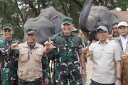 Menjaga jarak dengan gajah, menjaga penghidupan warga di Way Kambas