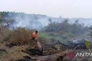 BPBD Muara Enim sebut 423,5 hektare lahan terbakar hingga September