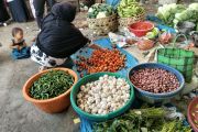Mataram pastikan stok komoditas pertanian aman selama musim kemarau