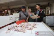 Cek harga daging ayam sesuai HAP, Pemkot Tangerang terjunkan tim khusus