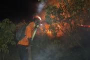 Basarnas bantu penanganan kebakaran hutan dan lahan di Kabupaten Donggala