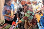 Wamenpar minta promosi FDS di Papua digencarkan hingga ke Bali