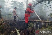 Satgas karhutla Jambi padamkan 86 hektare lahan gambut