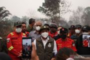 Kemenhut bekukan 13 izin dan cabut lima PBPH